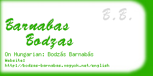 barnabas bodzas business card
